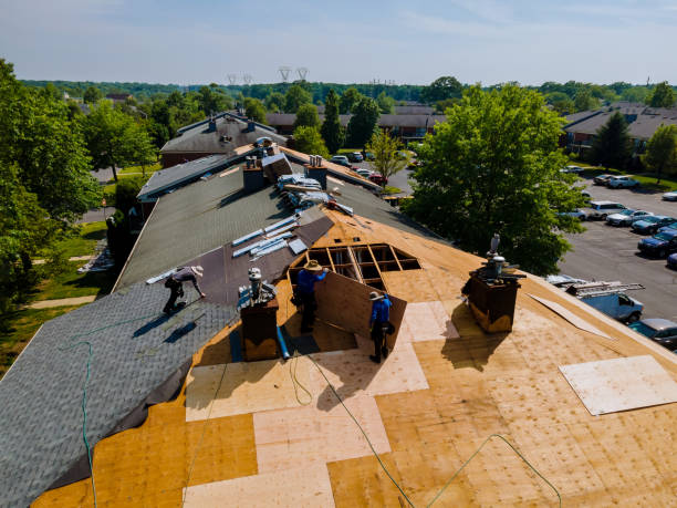 Best Flat Roof Repair Services  in Durand, MI