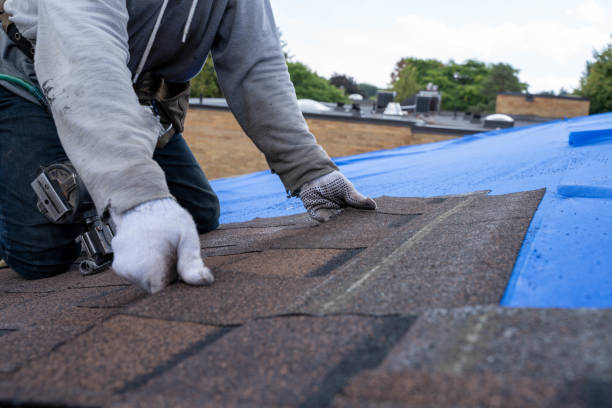 Best Residential Roofing Contractor  in Durand, MI