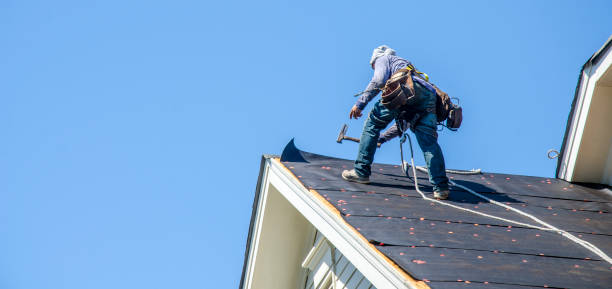 Best Best Roofing Contractors  in Durand, MI